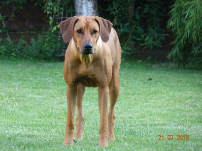 13734890_10208219980909842_7752072203206159130_o