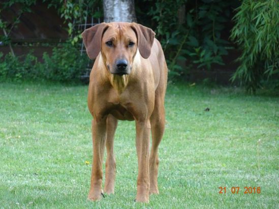 13734890_10208219980909842_7752072203206159130_o