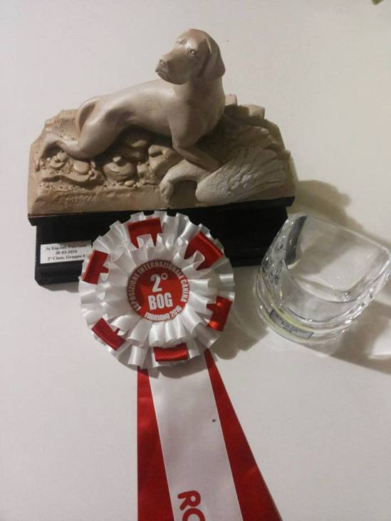 10377014_10208826692653675_5730005976534989012_n