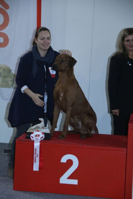 12671789_10208826694293716_7706036358836701836_o