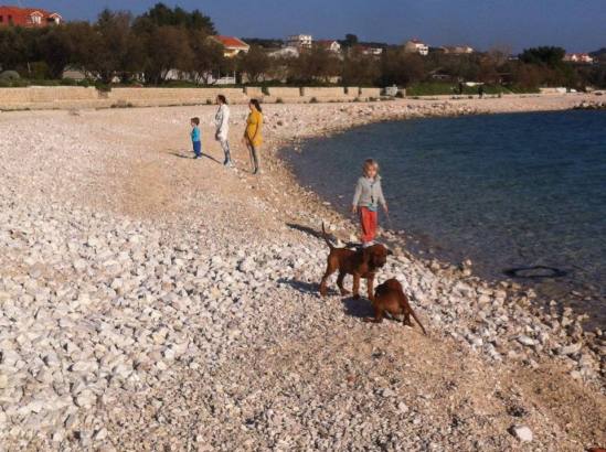 12325258_10209119626094333_229297113_n