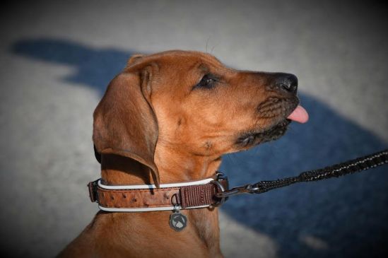 852263ac-5e73-4222-b01c-1c9969826a31