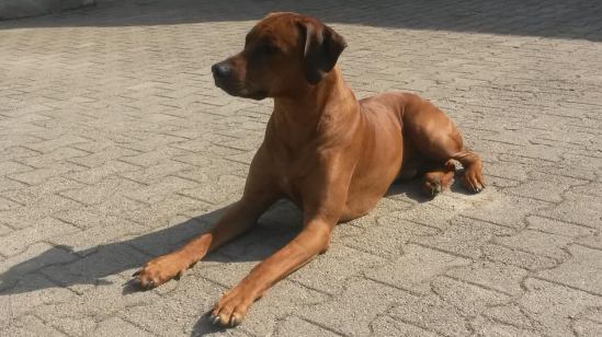 c1c837b8-380d-4355-94e0-c14d219af9ae