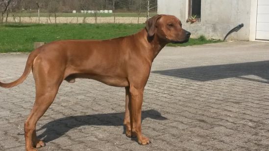 c6e49bd2-838f-49ac-8457-679025826c15