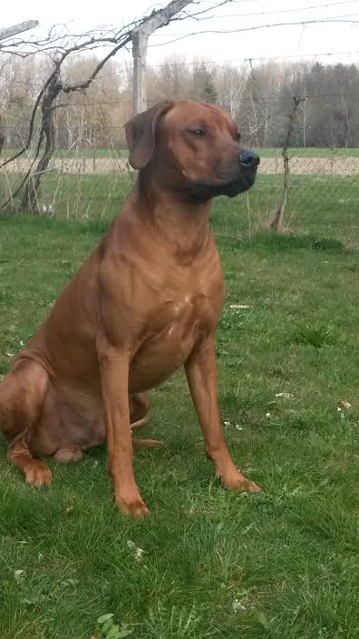 da7e2bc6-faf1-496e-a3de-69d72047be55