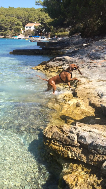 57d34d75-94c5-46bd-bc6a-a87ce720d807