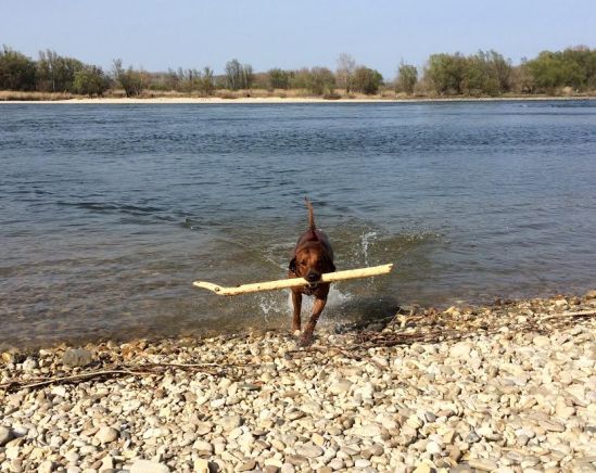 7ff252bc-325b-4d47-bb29-4043296523ea