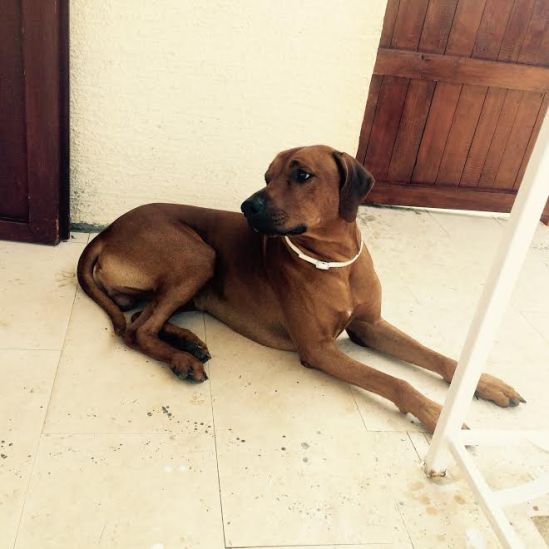 d2c9970b-589c-4a11-8198-f5aa349ca0c8