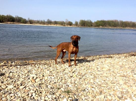 f15f23a0-e08a-4f5e-8a9b-c5909d0aac94