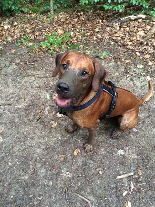 f8c5f64f-e2e9-4fde-a76c-0f8e07732b92