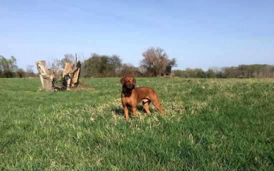 fa6f516a-60a5-4004-8d52-9d71ae709278