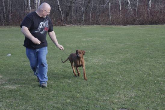 13217196_10153497578612882_2677978294657761027_o