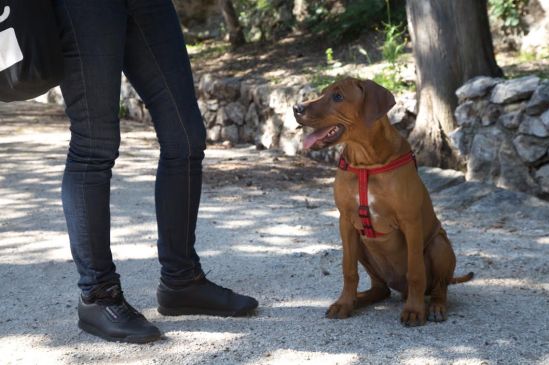 96901fd1-d53a-4944-b10e-86150bf97398