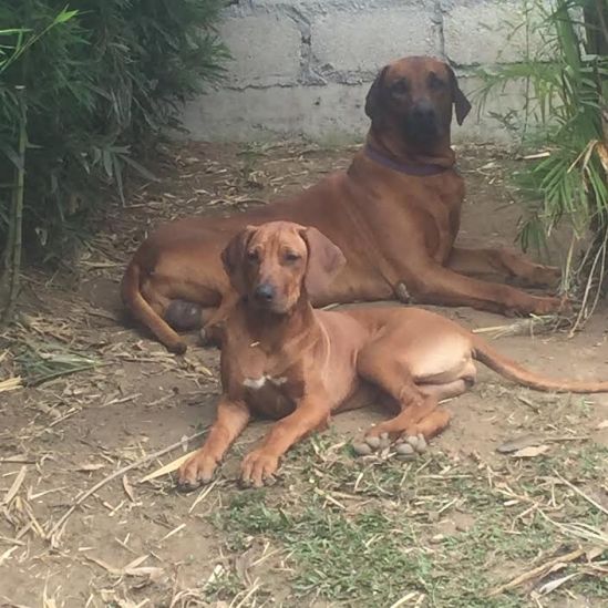 d7c54142-6796-4a1b-8c95-f38e8469768f