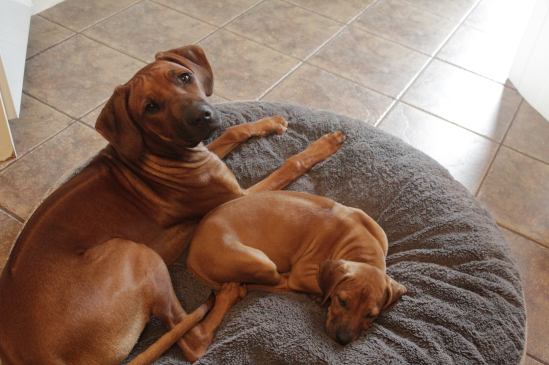 13441674_10153561295582882_2016183520_o