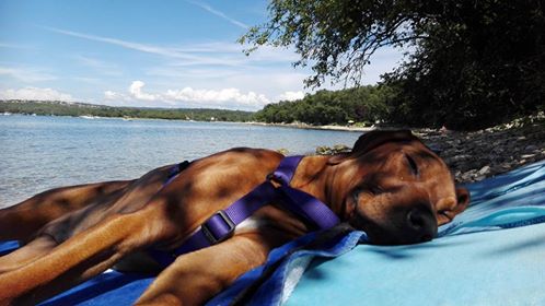 13494936_10207219995993264_3847702409710376297_n