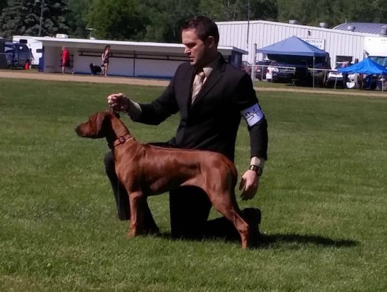 13517898_10153591492022882_941940578_o