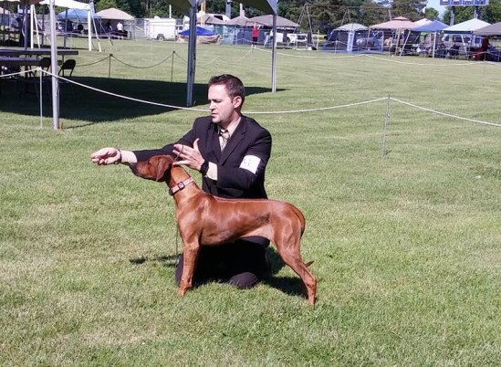 13517920_10153591492967882_641235933_o