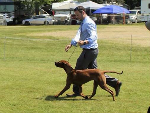 13528889_10210029167632303_8226104151507251314_n