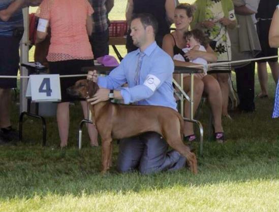 13557671_10210029168192317_3871686826937668202_n