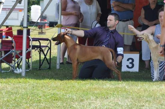 13940219_10153692579982882_839272799_o