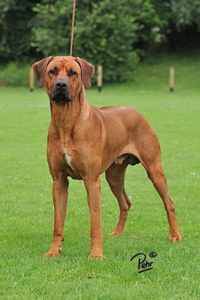 csm_08430_f85347e5981