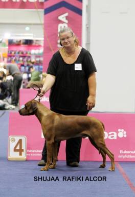 14502898_10207341987136746_4030616157763107112_n