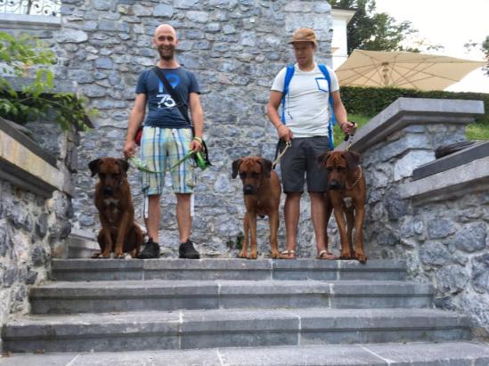 19989806_799451020217149_3352791078415504438_n