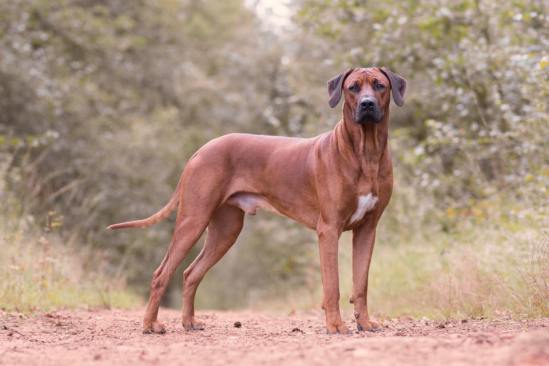 21557745_10155694840124004_617570979060344104_n