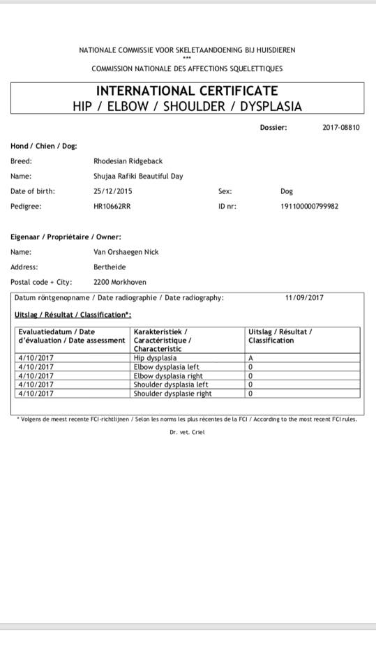 22279623_10155743631359004_5303213598386553698_n