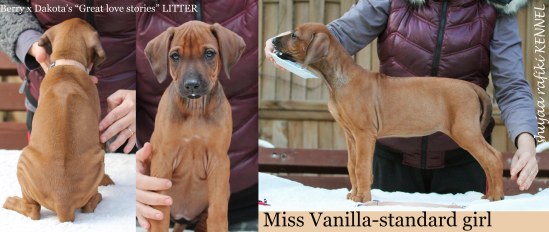vanilla last available girl