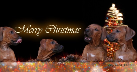 merry christmas 2017