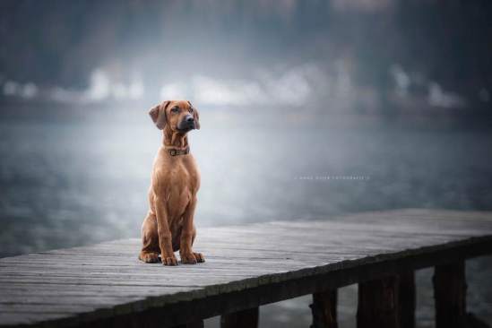 27971863_2082492851767030_4833552182343283466_n