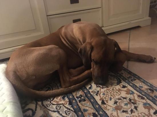 31398296_201394000644454_8157641915168771838_n