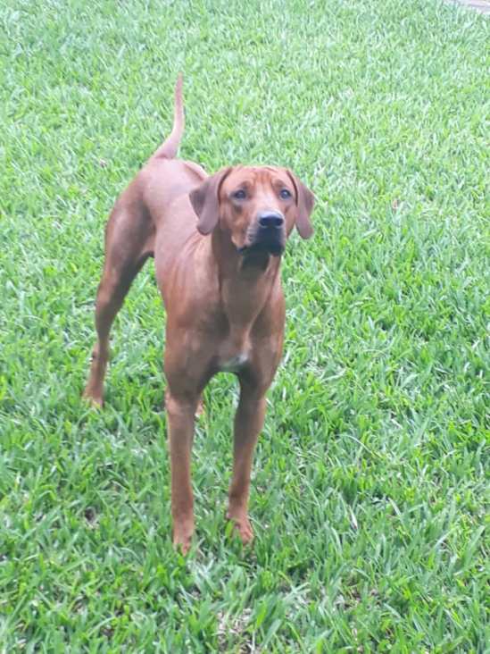 40a7e790-13da-47f6-a68d-da1bb698540a