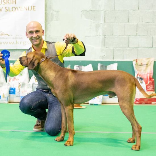 43510954_10157357305819714_9054570025301573632_n