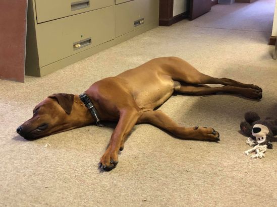 44993912_889418601448837_29564347252473856_n