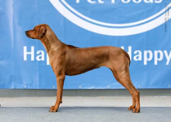 50335304_566883500469550_3670984792150638592_n