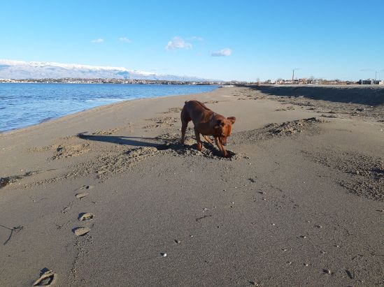 50444218_593033171166772_4757984428574113792_n