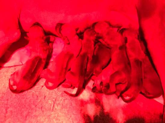 50969901_10218544749236521_902749615349039104_n