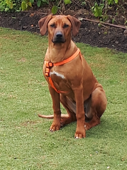 d320cd0b-ce3b-49c7-b86c-9cadeacc74bc