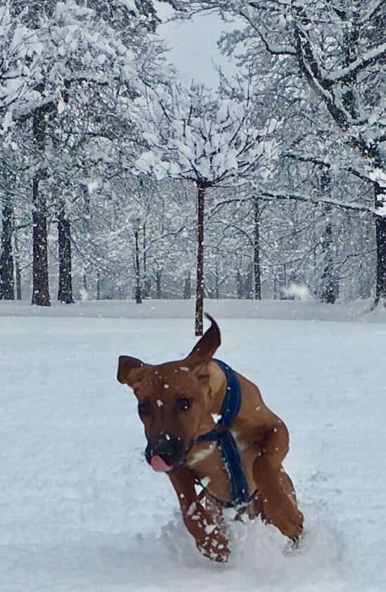 db275ee7-9c97-4da7-a343-a57019f1f99d