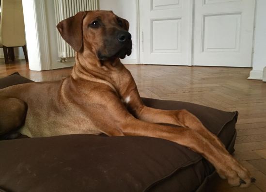 e0cbab01-525f-4b8e-b1a1-9b99cd282754