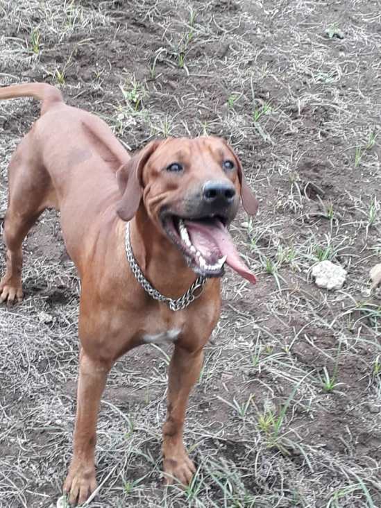 e7255f46-5b2e-4d88-9d39-0b7f89a7ddb4