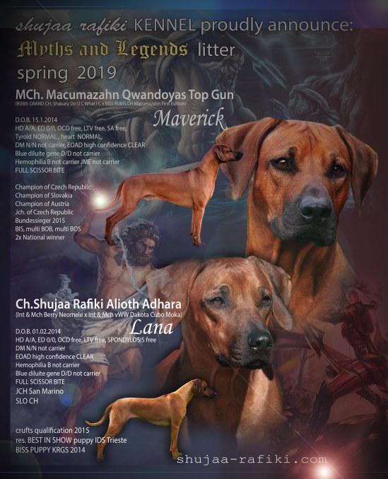 lana x maverick 2019