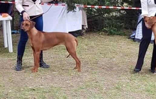 58576183_10219245001022378_967278346465443840_n