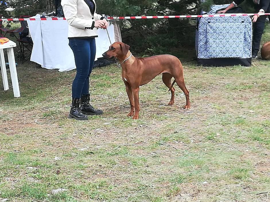 58711651_10219245001222383_3245448834146369536_n