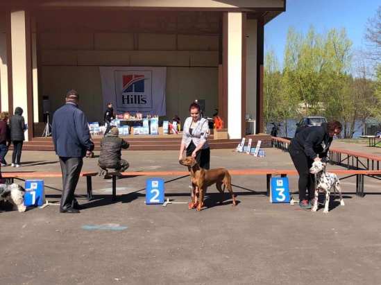 58766071_10219245006382512_200151978574086144_n